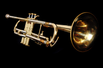 Obraz na płótnie Canvas golden trumpet