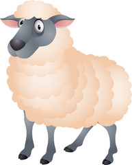 Sheep cartoon