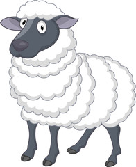 Sheep cartoon