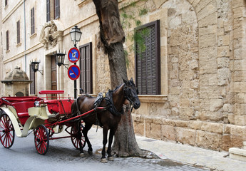 Fototapeta na wymiar Kutsche w Palma de Mallorca