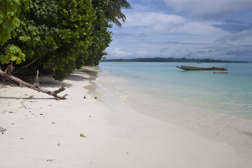 Tropical beach No. 5 on Havelock island (Andaman Islands, India)