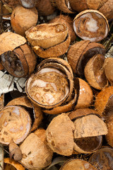 Pile of discarded coconut husks