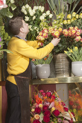 Mannelijke bloemist in bloemenwinkel die planten schikt en presenteert