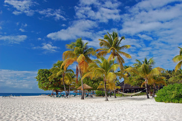Beautiful palm trees and hammock on Palm Island beach - obrazy, fototapety, plakaty