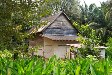 Old wooden house in the forest.