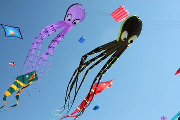 Cerf-Volant