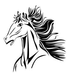 Wild head Horse stock image vector