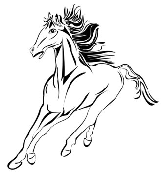 Wild running horse stock image vector