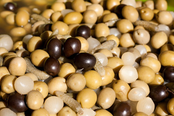 Encurtidos de aceitunas, pepinillos y cebolletas