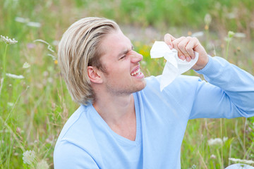 allergie