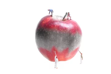 Foto op Canvas kleine figuren van schilders die rode appel schilderen op wit wordt geïsoleerd © Fotokon
