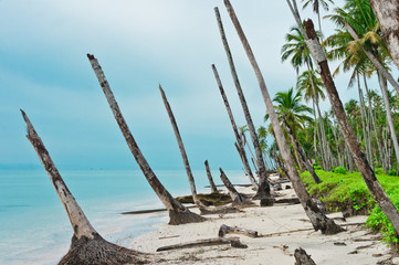 Desert Island Coastline After Tsunami, Banyak Archipelago