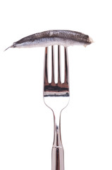 Ölsardine auf einer Gabel
