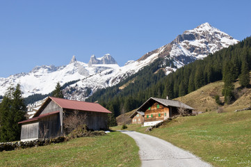 Fototapeta na wymiar Alpenblick