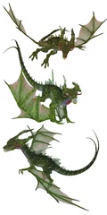 Papier Peint photo autocollant Dragons Dragon vert