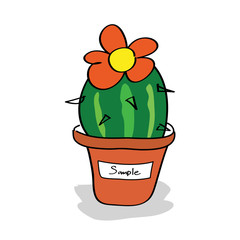 Cactus in a pot with tags