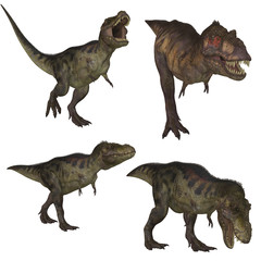 Tyrannosaurus Rex © s.gatterwe