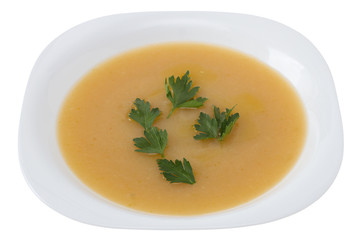 vegetable soup with parsley on the plate