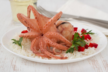 boiled octopus with rice on the plate