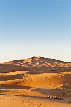 Dunes of Erg Chebbi at Morocco © Anibal Trejo