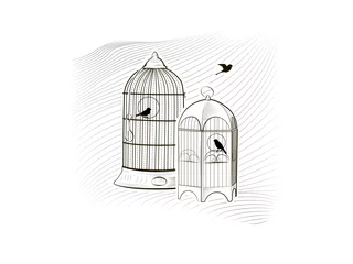 Crédence de cuisine en verre imprimé Oiseaux en cages oiseaux en cage