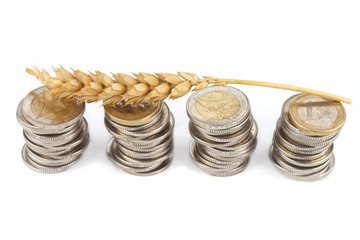 One single corn stalk lies on Euro coins