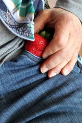 Erdbeere wird auf Jeans gezogen trendig