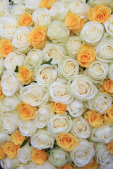 White and yellow roses in brdal flower arrangement
