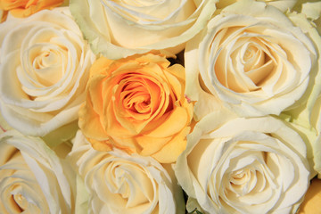 White and yellow roses in brdal flower arrangement