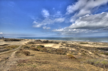 Dunes in Holland