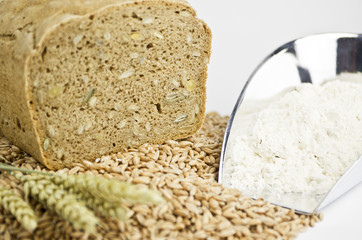 Brot, Mehl und Getreide