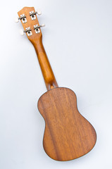 Naklejka premium ukulele Hawaii guitar style
