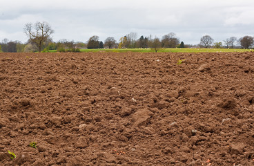 Freshly dug agricultural field