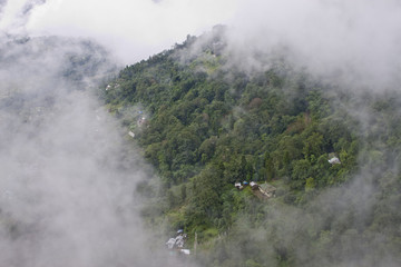 Mountain with forest, Sikkim, India