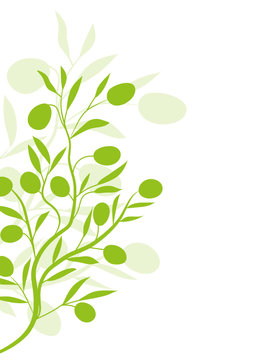 green olive branch on white background clip art preview