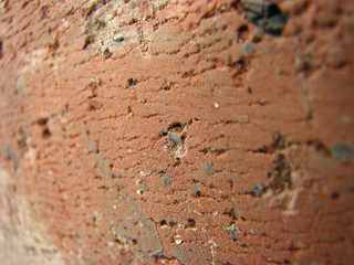 old wall texture