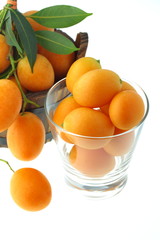 Plum Mango.