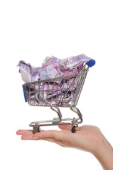 Fototapeta premium crumpled euroin shopping trolley on the palm