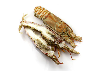 Champagne Lobster
