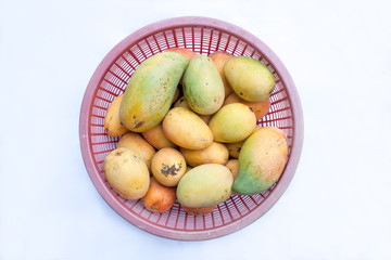 Ripe golden mangoes in basket