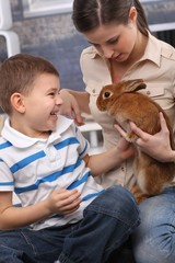 Kid and mom with pet rabbit at home