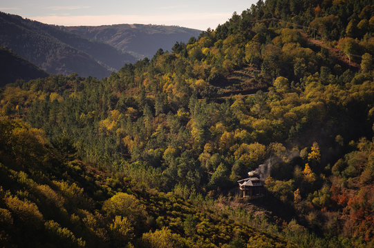 Oto&ntilde;o en el Caurel