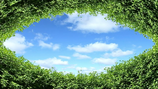 Auge der Natur