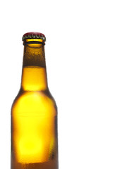 Isolated beer bottle