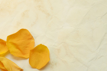 Naklejka premium Rose petals on the old paper background