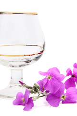 A wine glass and a single pink flower.