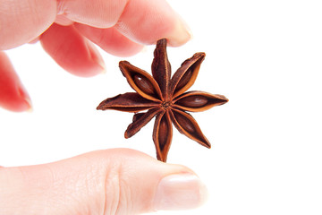 hand is holding whole star anise in closeup
