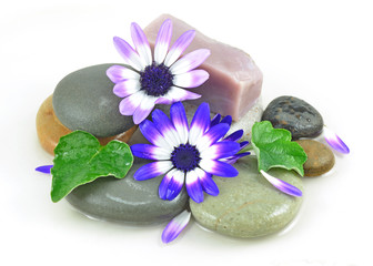 Obraz na płótnie Canvas Zen Stones Spa with Flowers