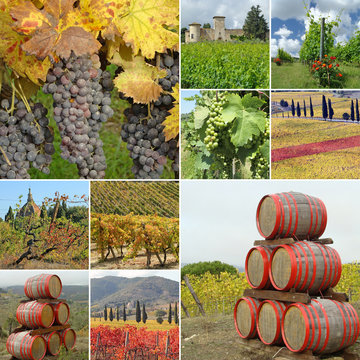 wine agriculture collage made of images from Tuscany, Italy, Eur