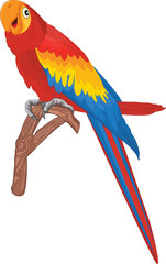Fototapeta premium Parrot